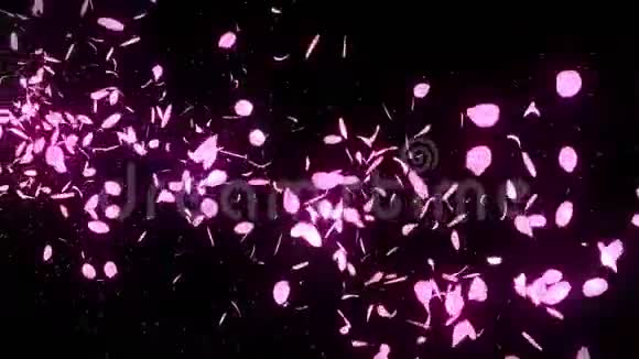 樱花花瓣飘落CG花瓣纸屑循环动画春花日本文化视频的预览图