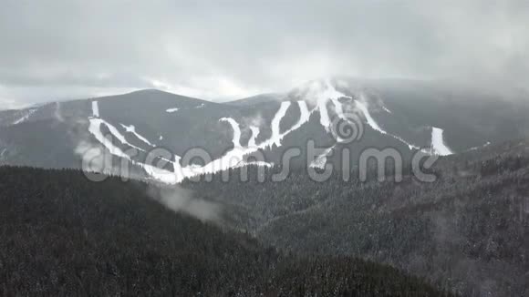 白雪覆盖的松树的鸟瞰图视频的预览图