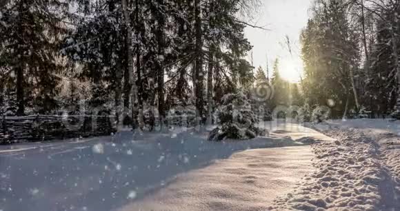 CINEMAGRAPH4k冬季森林降雪视频的预览图
