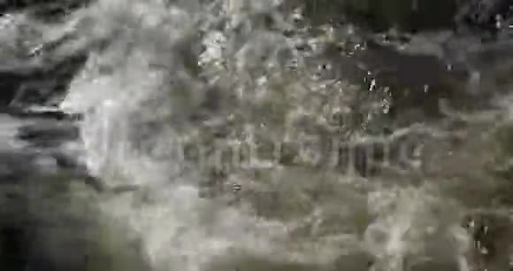 山河在林中紧拢视频的预览图