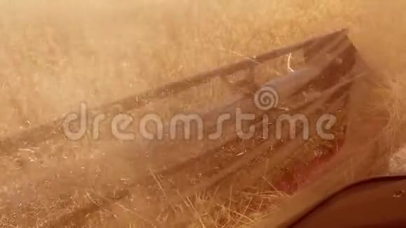 男子农民驾驶结合收割与小麦的生活方式从联合沙龙的观点从第一次视频的预览图