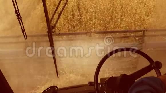 从第一人称出发从联合沙龙的角度出发将田间收获与小麦结合起来视频的预览图
