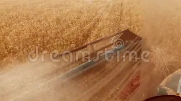 男子农民驾驶结合收割生活方式的田间和小麦从联合沙龙的观点从第一个视频的预览图