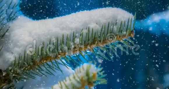 CINEMAGRAPH4k冬季森林降雪视频的预览图