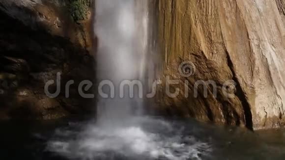 森林深处的瀑布视频的预览图