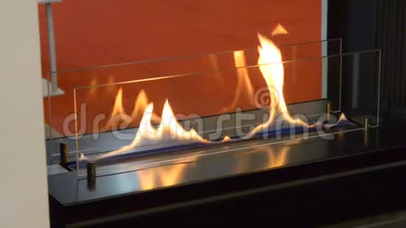 现代生物壁炉乙醇气体智慧生态视频的预览图