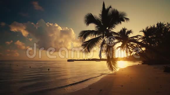 日出海景和热带岛屿海滩棕榈树多米尼加共和国视频的预览图