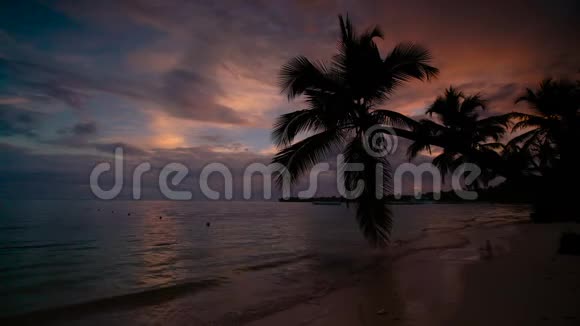 日出覆盖热带岛屿海滩和棕榈树多米尼加共和国视频的预览图