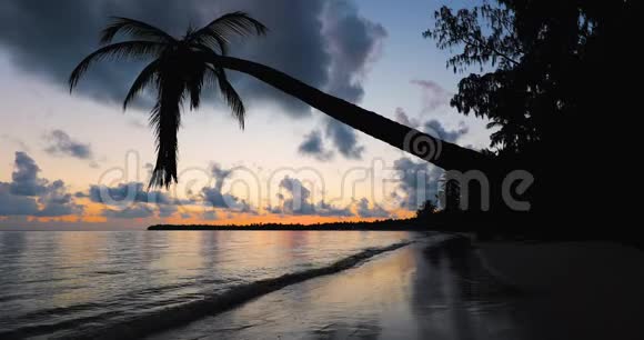 日出覆盖热带岛屿海滩和棕榈树多米尼加共和国视频的预览图