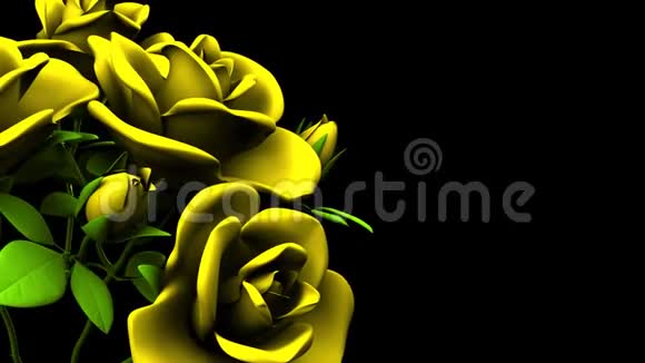 黑色文字空间上的黄色玫瑰花束视频的预览图