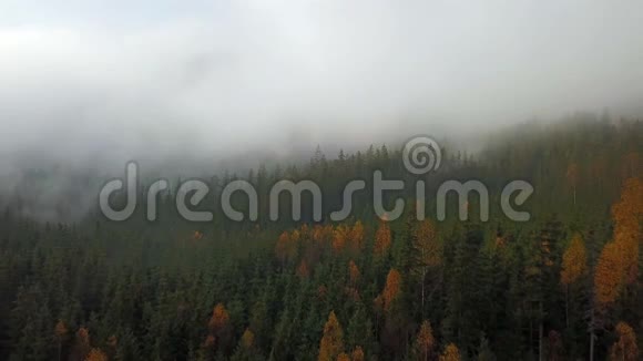 晨雾的高山空中景色视频的预览图