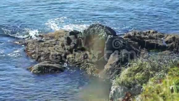 库纳希尔岛海岸视频的预览图