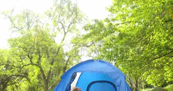 他们的帐篷很幸福视频的预览图