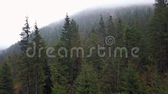 晨雾的高山空中景色视频的预览图