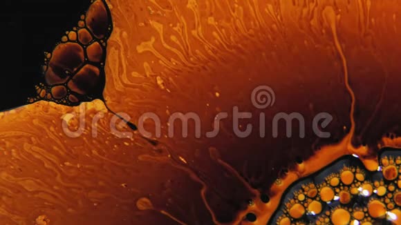 带有生物和抽象形状的显微镜头视频的预览图