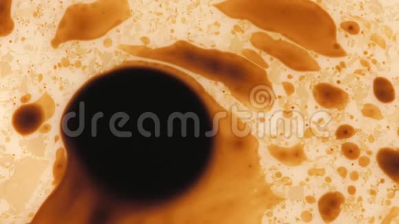 带有生物和抽象形状的显微镜头视频的预览图