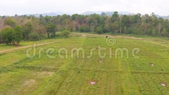空中射击稻田和山景视频的预览图