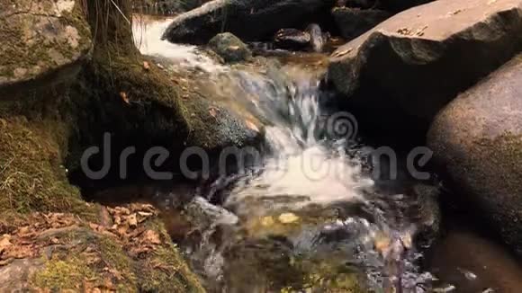 葡萄牙卡布雷亚的自然植被视频的预览图