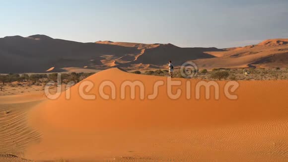 游客步行在风景秀丽的沙丘Sossusvlei纳米布沙漠纳米布诺克洛夫特国家公园纳米比亚视频的预览图
