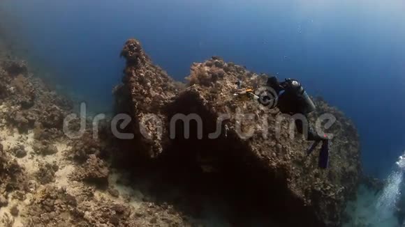 摄影师潜水员在红海的水下游泳视频的预览图