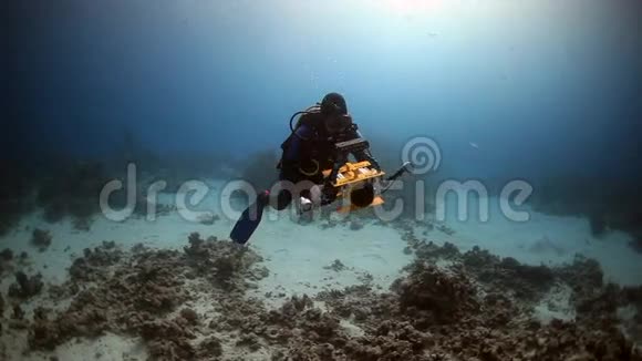 摄影师潜水员在红海的水下游泳视频的预览图