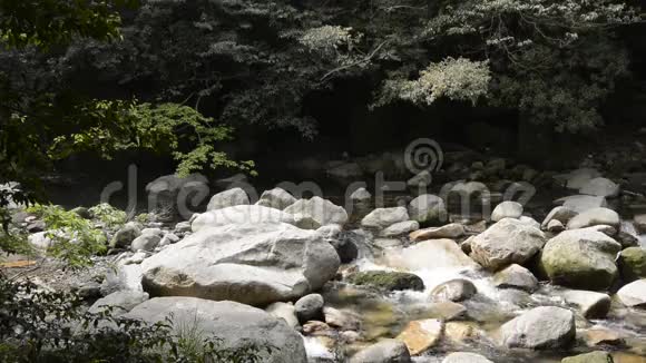 小溪在石头间流淌视频的预览图