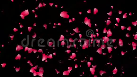心脏的花瓣视频的预览图