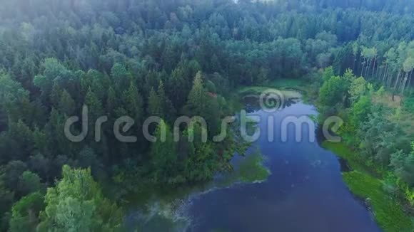 清晨在雾蒙蒙的湖面上飞翔视频的预览图