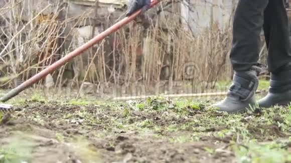 女人正在用耙子工具清理花园里的杂草慢动作视频的预览图