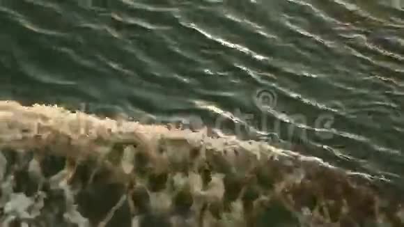 大海中的水波视频的预览图