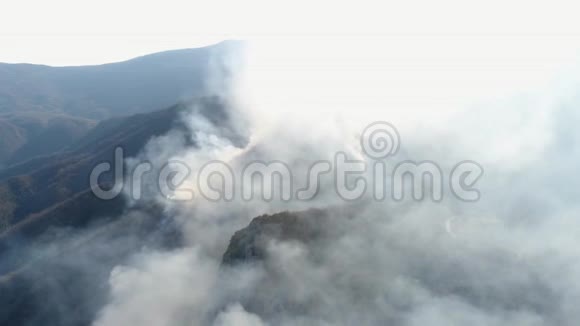 烟雾笼罩的树林的空中镜头视频的预览图