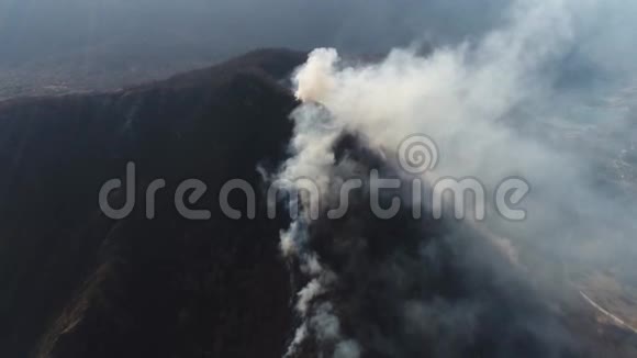 烟雾笼罩的树林的空中镜头视频的预览图