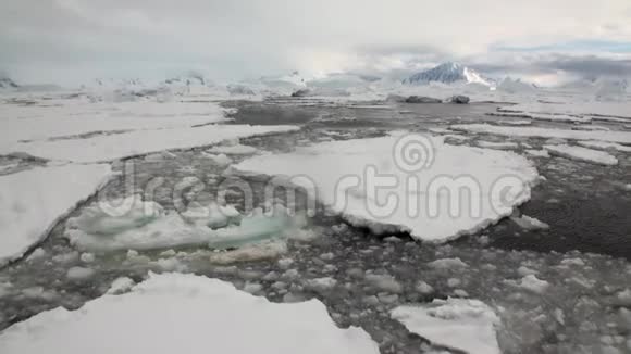 南极洲海洋中的冰川冰山和雪海岸线视频的预览图