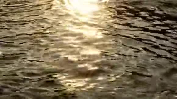 夕阳映水江视频的预览图