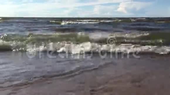 在波罗的海的海滩上视频的预览图