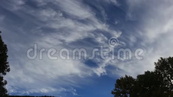 蓝天上有移动云的树视频的预览图