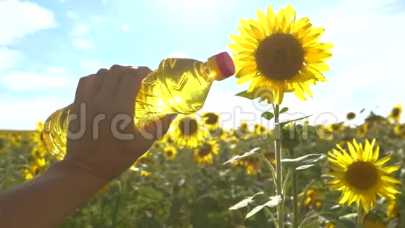 农夫手里拿着一个塑料瓶生活方式是葵花籽油在他的手里的阳光下慢动作视频农业视频的预览图