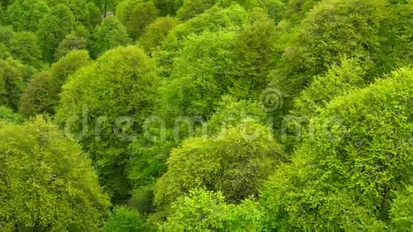 空中观景台飞越山景视频的预览图