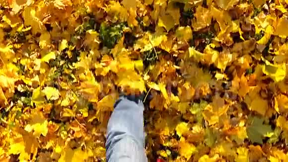 人走在秋叶上慢动作视频的预览图