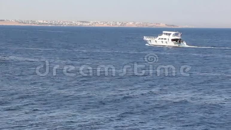 埃及白色游艇视频的预览图