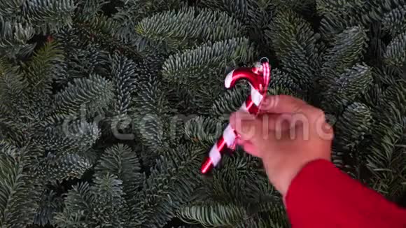 圣诞节背景与常绿树视频的预览图