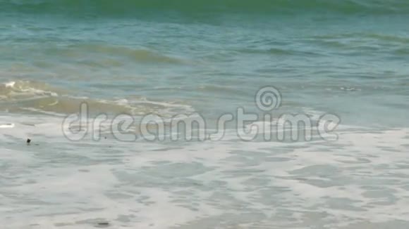 在海滩上奔跑的女人视频的预览图