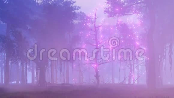 雾蒙蒙的山林4K动画视频的预览图