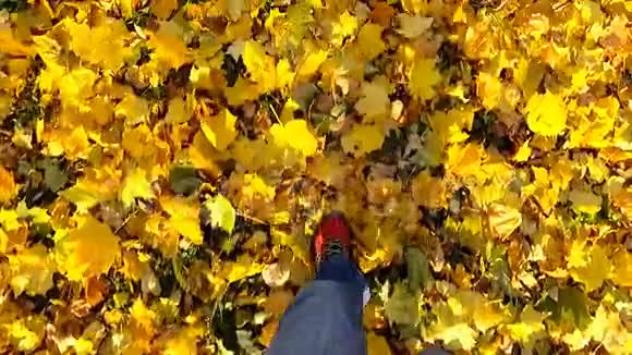 人走在秋叶上慢动作视频的预览图