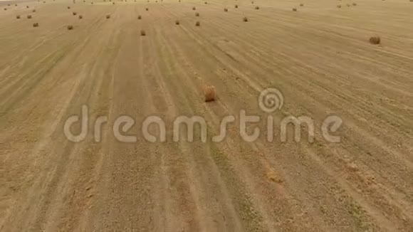 田间的干草收获干草作为牲畜饲料干草景观场视频的预览图