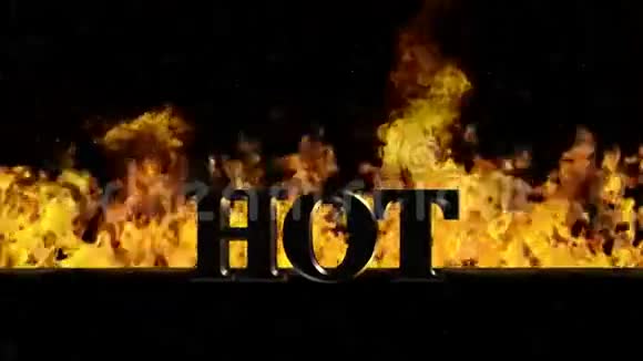 火中的热词视频的预览图