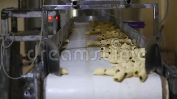 工厂的小吃和饼干生产视频的预览图