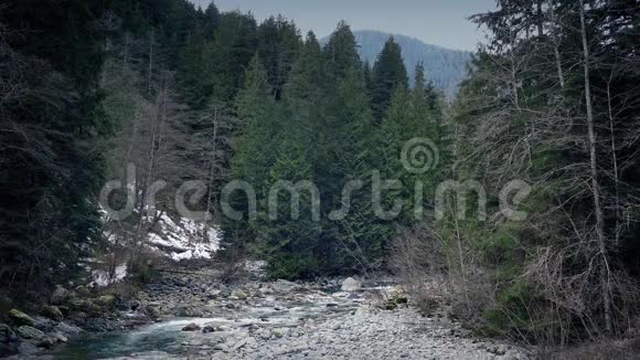 荒野中的河流景观视频的预览图