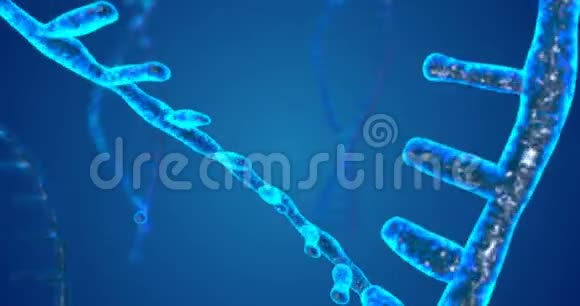 具有景深的抽象闪光DNA双螺旋来自debrises的DNA构建动画科学动画视频的预览图