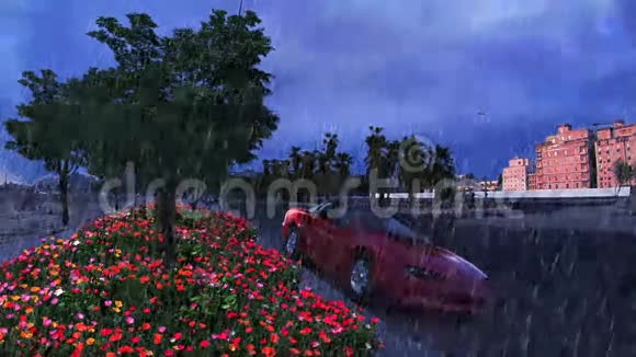 大雨天气下的花园和跑车视频的预览图